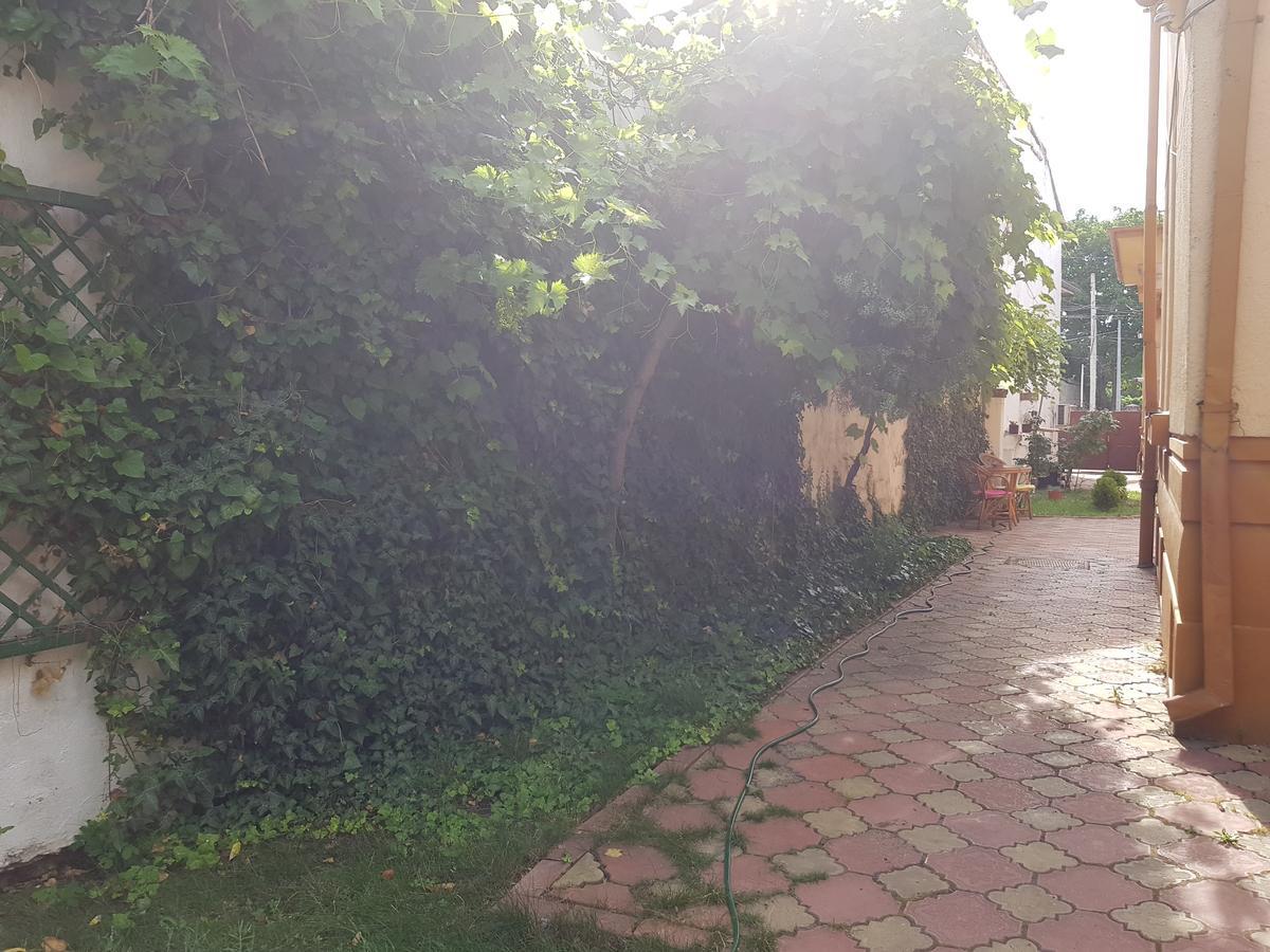 Casa Boiereasca Craiova Exterior photo
